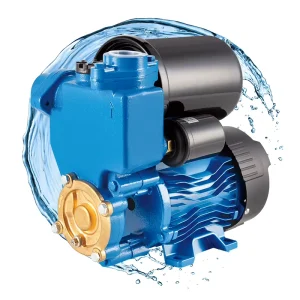 AUPS-126 370W 0.5HP DC Motor Vortex Pump Cast Iron Body IP54 Protection German Style Outlet Low Pressure Farm Pump