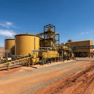 Complete Set Mining Equipment Gold Plant Processing Machine Gold Mining Equipment