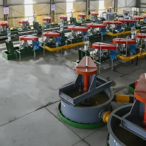 Customizable Complete Mineral Gold Copper Beneficiation Flotation Production Line