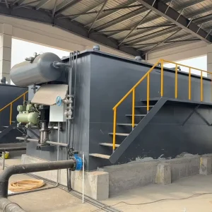 Dissolved Air Flotation System (DAF) Wastewater Treatment Equipment 3-100m/h Capacity 40 Ton/Hour Productivity For SS