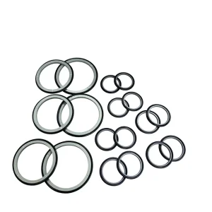 Epiroc 1838 Rock Drill Step Seal USA DuPont Material CNC Turned For Hydraulic Rock Drill Spare Parts