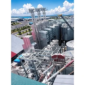 Fully Automatic Rice Parboiling Plant Heat Exchanger for Large Scale Operations Integrated Cleaning Husking 10-220 T/D Capacity