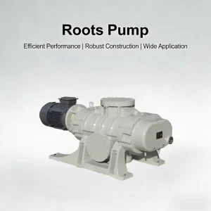 Heavy Duty Roots Vacuum Booster Pump for Mining Water Treatment Power Plant Environmental Industry