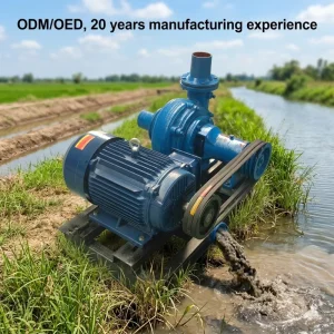 High Pressure 5HP OEM Automatic Dry Sand Pump Custom Cable Length Riverbed Dredging Sand Absorption 3M/H Discharge