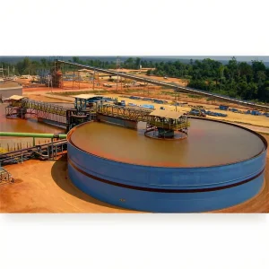 High Quality 50tpd CIL Gold Mining Equipment Sedimentation Mineral Thickener for Gold