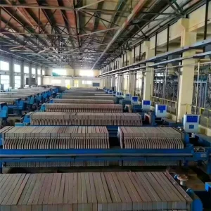 Membrane Squeeze Filter Press for Tailing Disposal High Efficiency Mining Mineral Processing Equipment Fast Filter Cloth Washing