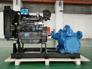 QS Double Suction Pump with High Performance Flow for Municipal Water Supply