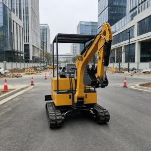 QS20 Laidong Engine Portable Mini Crawler Digger High Efficiency Compact Excavator for Greening Engineering Countryside Projects