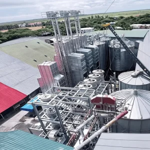 Rice Parboiling Customizable Soak Times Temperatures High speed Automatic Multi Voltage Rice Mill Equipment 5-200 T/D Capacity