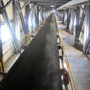 Rubber Seed Conveyor Belt System