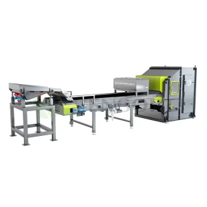 Smart Automatic Optical Motor Driven High Accuracy Metal Sorting System 99% Efficiency for Lithium Tungsten Rare Earth Minerals