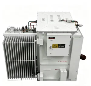 ZGS20-G-800kVA Three Phase 33/0.4kV Pure Copper Winding Mineral Processing Plant Low Loss Combined Transformer